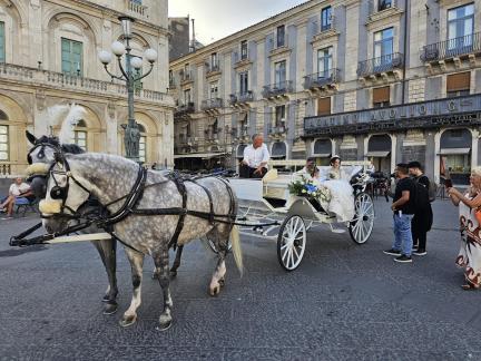 By carriage to the wedding
