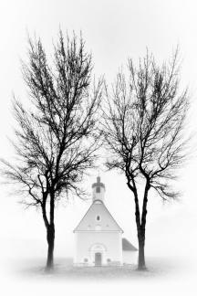 brouillard Matin