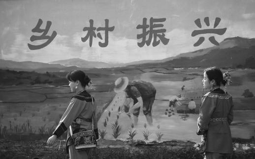 the fields of hope 11