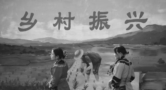 the fields of hope 12