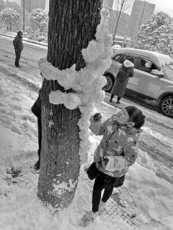 Snowy scenery 12