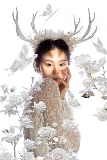 White Deer