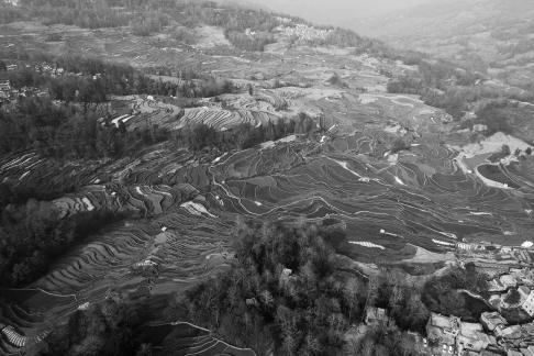 Terraced fields scenery 45