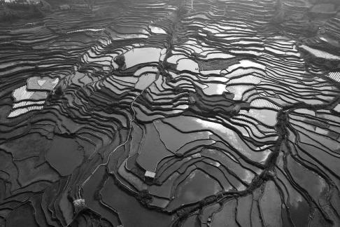 Terraced fields scenery 46
