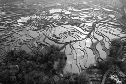 Terraced fields scenery 48