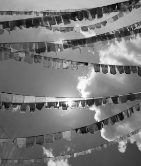 Colorful flags fluttering 6