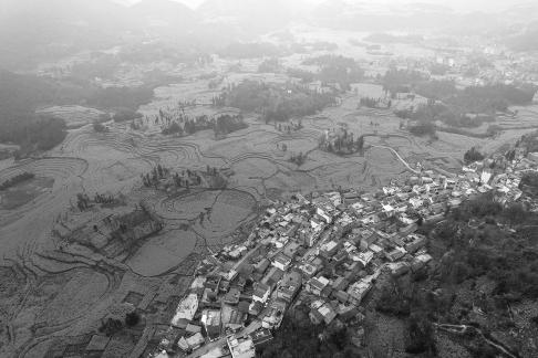 The Poetry of the Earth 40