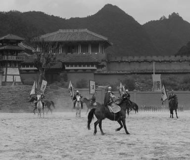 Equestrian performance 20