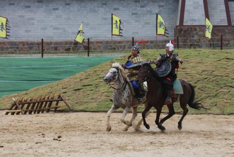 Equestrian performance 31