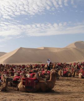 Desert Journey 18