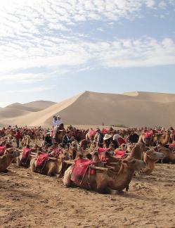Desert Journey 20