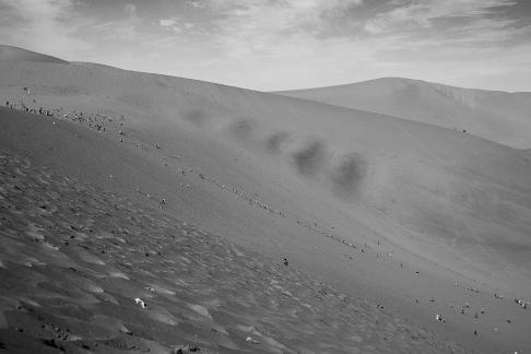 Desert Secret Realm 22
