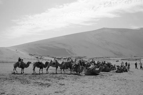 Desert Secret Realm 24