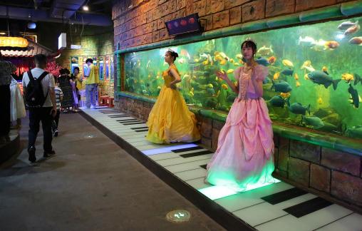 Aquarium Tour 4