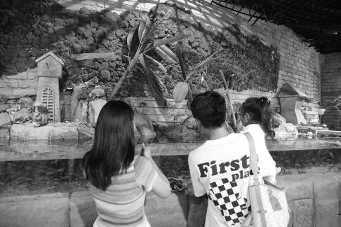 Aquarium Tour 5