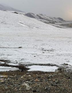 Snowfield Silence