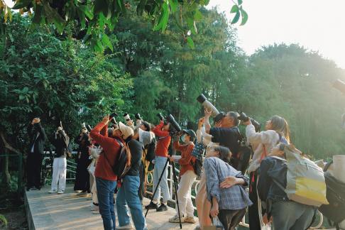 A Crowd’s Gentle Bird-Watching Less