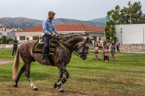 BEFORE THE PARADE AG SIMIOS 22 A