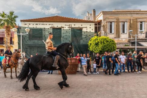 HORSES ON PARADE AT THE FIESTA