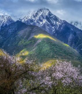 Spring arrives in Ru na Village