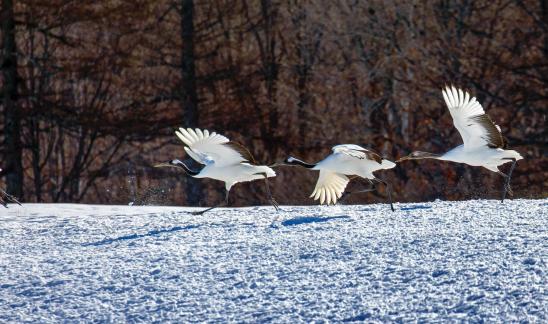 We are landing