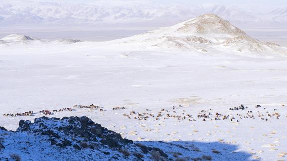 Meager Pasture Western Mongolia