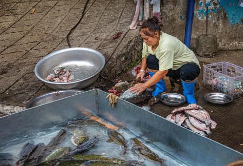 To kill the fish