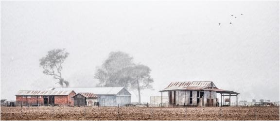 Farm sheds in fog