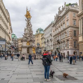 Dog visiting Graben