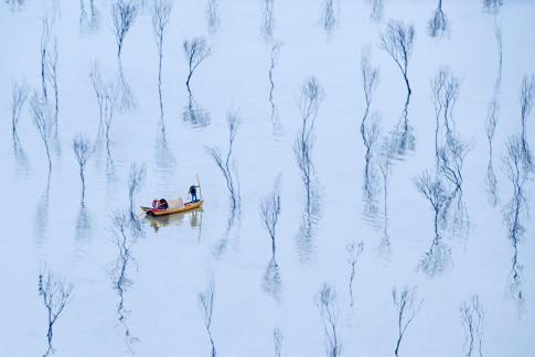 Fishing in the mangroves