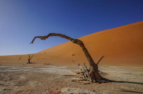 Deadvlei_11