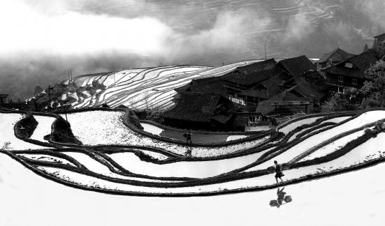 JC Terraced Fields After Rain