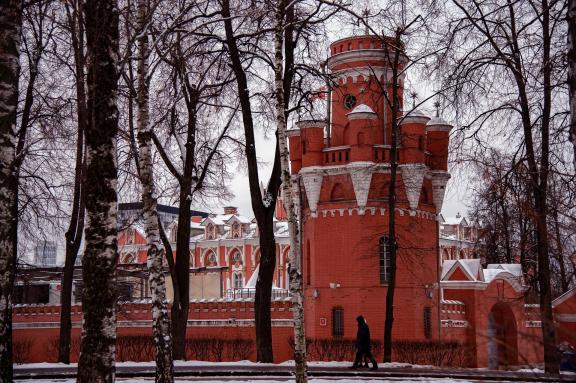 Tower of the Petrovsky Palace