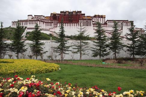 Take a photo in Xizang 1