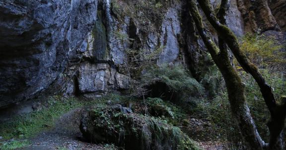 Layered Autumn Colors 1