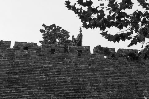 Tianxin Ancient Wall 4