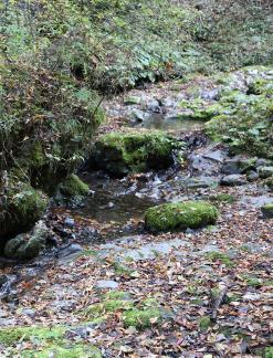 In the mountains and forests 9