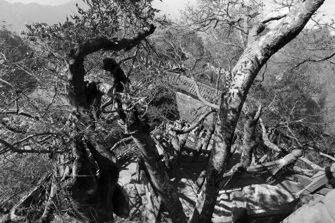 Journey to Wudang Mountain 77