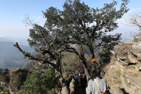 Journey to Wudang Mountain 66