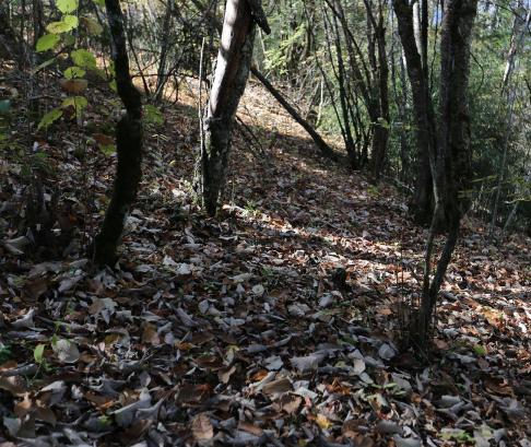 The Beauty of Mountains 9