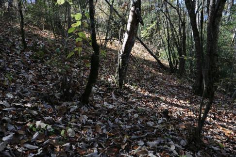 The Beauty of Mountains 10