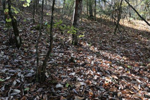 The Beauty of Mountains 11