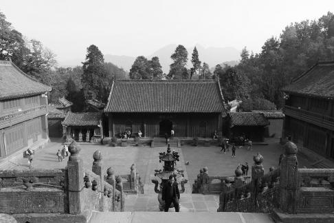 Journey to the Mountains 80