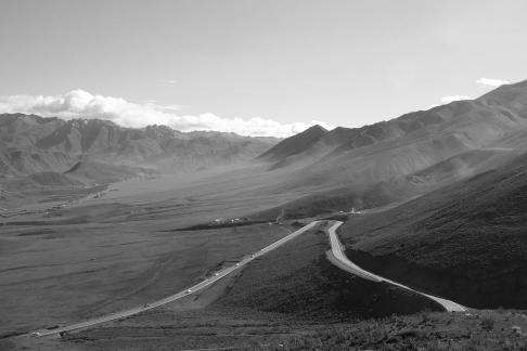 Tianlu Weaving Brocade 9