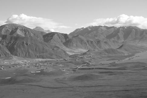 Tianlu Weaving Brocade 10