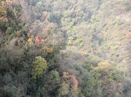 Autumn Mountain Silence Language 3