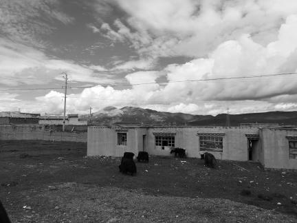 Yunye Pastoral Song 8