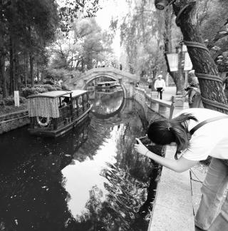 Boating in the Water Lane 5