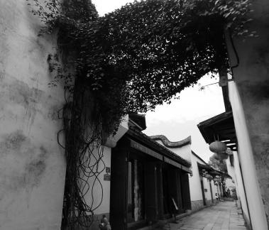 Three Lanes and Seven Alleys 24