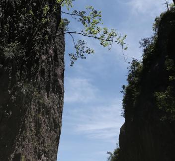 Green between cliffs 5